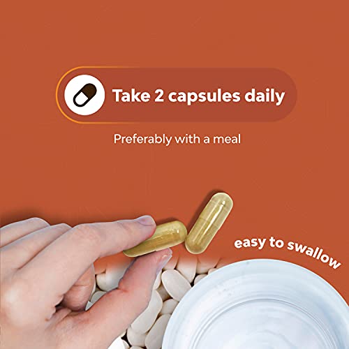 White Kidney Bean Energy Booster - White Kidney Bean Extract Pill...