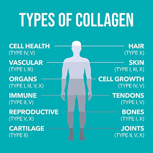 NaturesPlus Collagen Peptides - 90 Capsules - Hair, Skin, Nail & ...