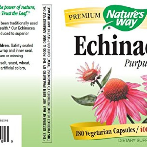 Echinacea Herb Immune Support 400 MG 180 Capsules