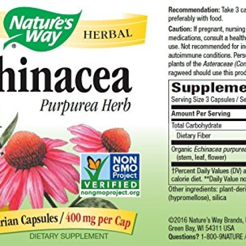 Echinacea Herb Immune Support 400 MG 180 Capsules