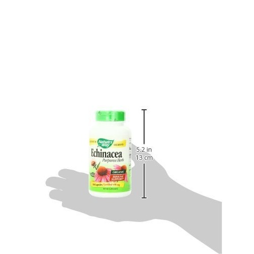 Echinacea Herb Immune Support 400 MG 180 Capsules