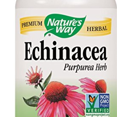Echinacea Herb Immune Support 400 MG 180 Capsules
