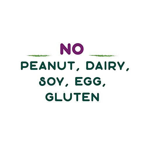 Nature’s Way Kids Tummy Soothe, with Calcium & Ginger, Berry Blas...
