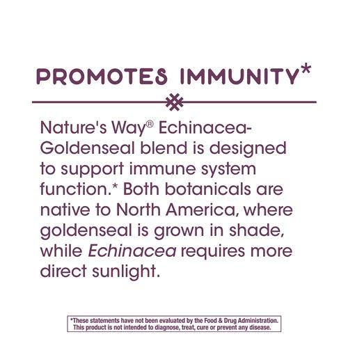 Natures Way, Echinacea Goldenseal Root, 100 Capsules