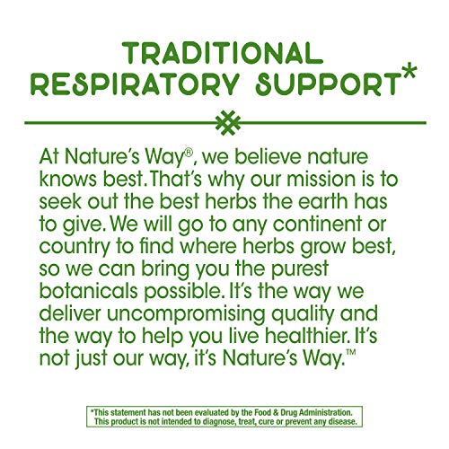 Natures Way Ivy Extract from English Ivy Leaf 50 mg Potency, 90 ...
