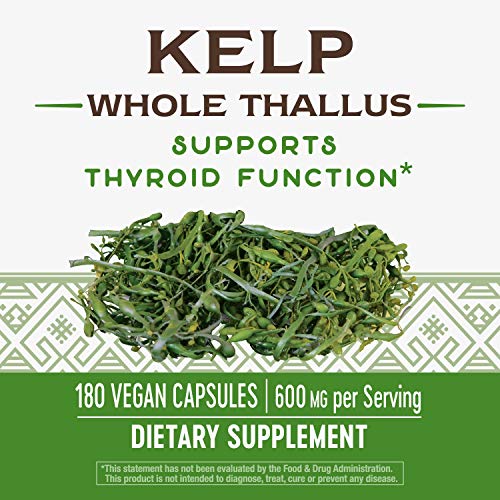 Natures Way Kelp 600 mg Non-GMO Project Verified Gluten Free Veg...