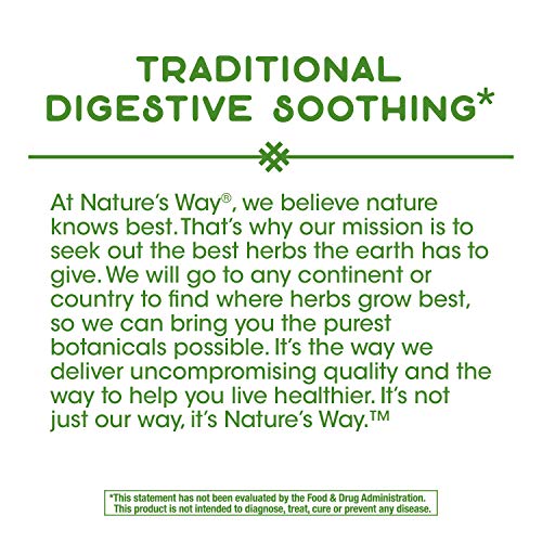 Natures Way Premium Herbal Peppermint Leaf, 700 mg per serving, ...