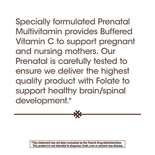 Natures Way Prenatal Multi-Vitamin, 180 Capsules