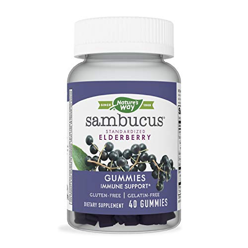 Natures Way Sambucus Elderberry Gummies with Vitamin C and Zinc,...