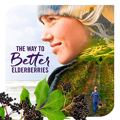 Natures Way Sambucus Soothing Elderberry Hot Drink Mix, with Vit...