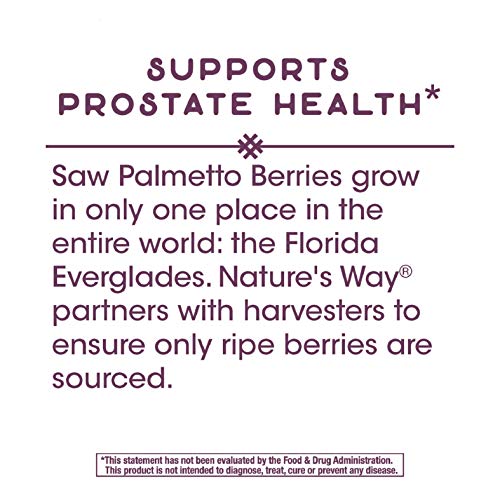 Natures Way Saw Palmetto Standardized Extract Prostate Health, 1...