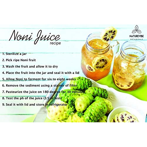 Naturevibe Botanicals USDA Organic Noni Fruit Powder 16 ounces ...