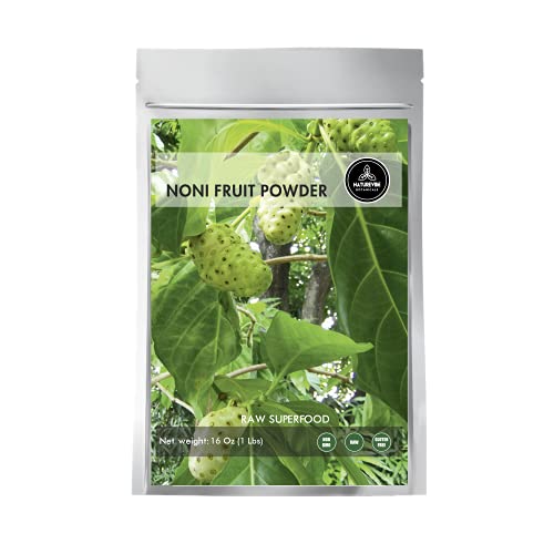 Naturevibe Botanicals USDA Organic Noni Fruit Powder 16 ounces ...