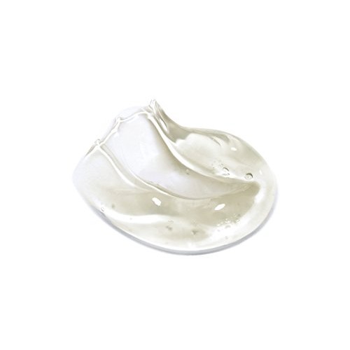Naturopathica Aloe Cleansing Gel - Foaming Facial Cleanser w/ Alo...