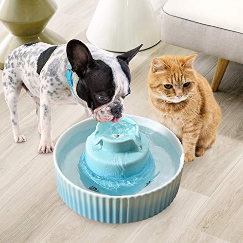 NautyPaws Ceramic Cat Water Fountain, Ceramic Pet Fountain, 2.1 L...