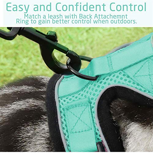 NECALON Cat Harness for Walking，Lightweight Kitten Harness，Esca...