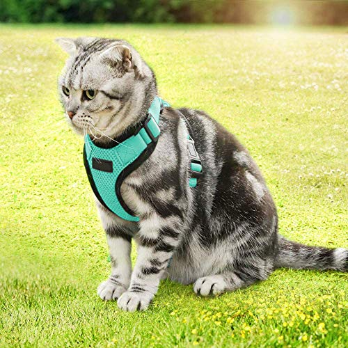NECALON Cat Harness for Walking，Lightweight Kitten Harness，Esca...