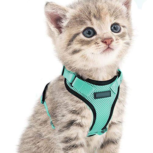 NECALON Cat Harness for Walking，Lightweight Kitten Harness，Esca...