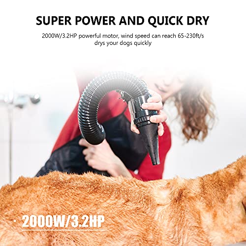 NEWTRY Dog Dryer Hair Force Dryer Stepless Adjustable Speed Tempe...