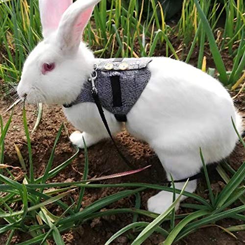 Rabbit Harness Small Pet Leash with Button Adjustable Formal Suit...