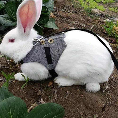 Rabbit Harness Small Pet Leash with Button Adjustable Formal Suit...