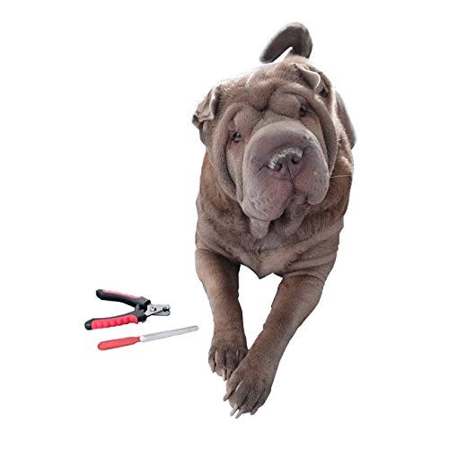 Nitmoi Products Pet Grooming Set Brush Comb Nail File Nail Trimme...