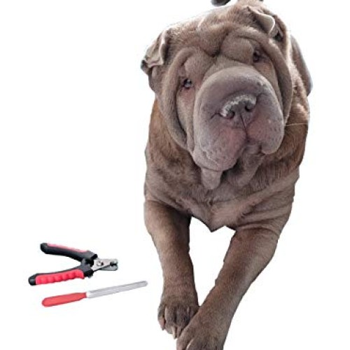 Nitmoi Products Pet Grooming Set Brush Comb Nail File Nail Trimme...
