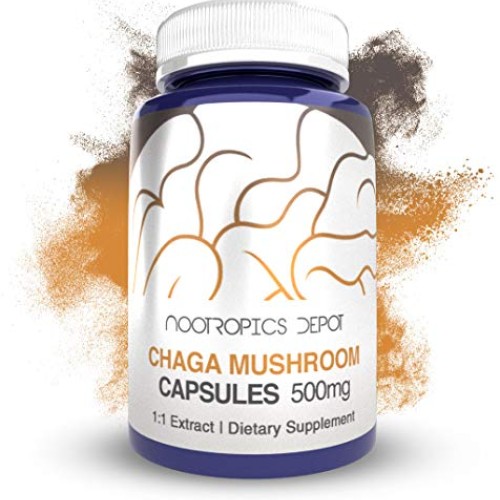 Chaga Mushroom Capsules | 500mg | 180 Count | Inonotus obliquus