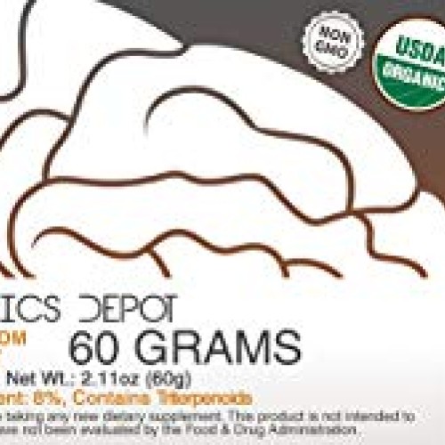 Chaga Mushroom Powder | 60 Grams | Inonotus obliquus | Organic Wh...