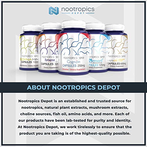 Nicotinamide Mononucleotide Enteric Coated Tablets | 30 Count | 1...