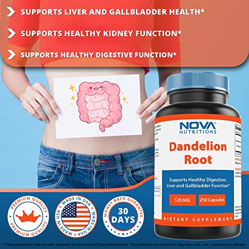 Nova Nutritions Dandelion Root Capsules 520mg, Supports Healthy D...