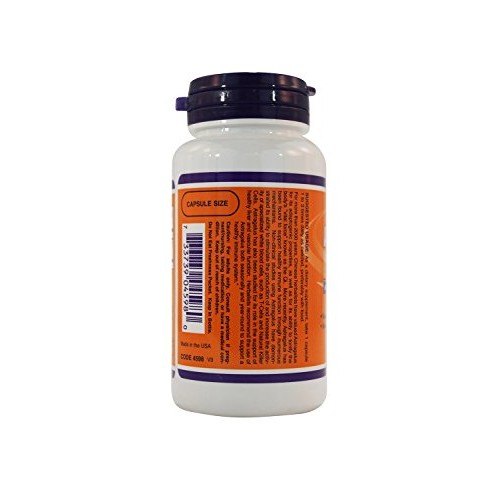 Astragalus Extract 500mg 90 VegiCaps Pack of 2