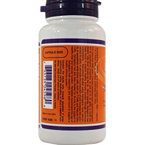 Astragalus Extract 500mg 90 VegiCaps Pack of 2