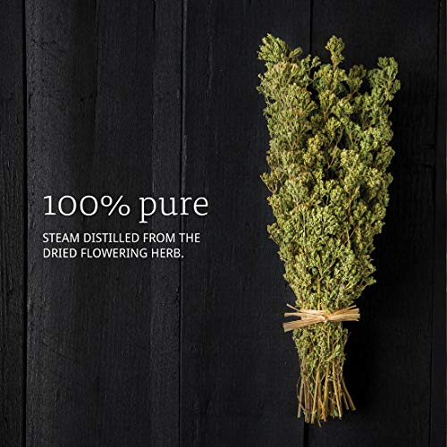 NOW Essential Oils, Oregano Oil, Comforting Aromatherapy Scent, S...