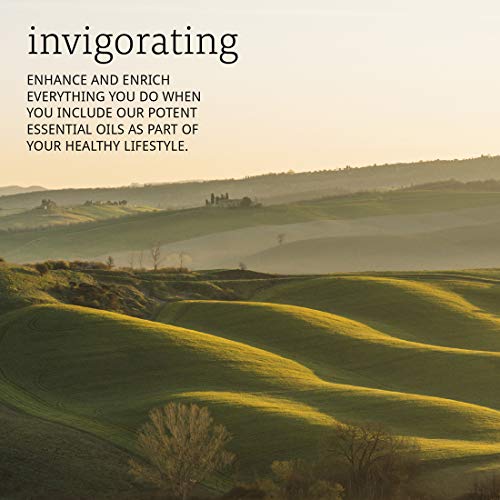 NOW Essential Oils, Oregano Oil, Comforting Aromatherapy Scent, S...