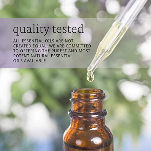 NOW Essential Oils, Oregano Oil, Comforting Aromatherapy Scent, S...