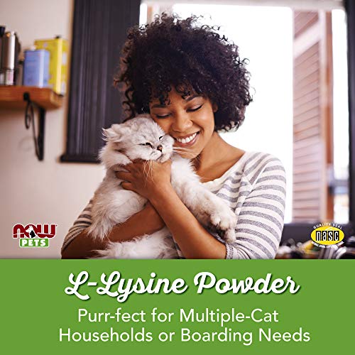 NOW Pet Health, L-Lysine Supplement, Powder, Formulated for Cats,...
