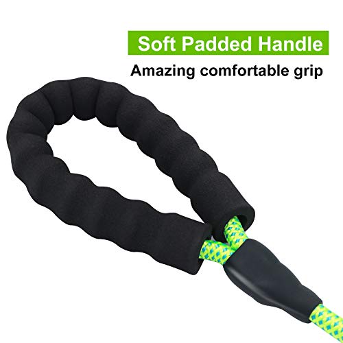NTR Heavy Duty Dog Leash, 30FT Reflective Dog Leash with Swivel L...