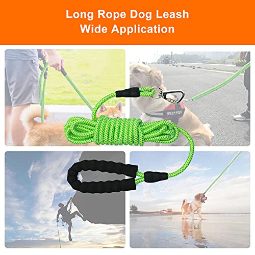 NTR Heavy Duty Dog Leash, 30FT Reflective Dog Leash with Swivel L...
