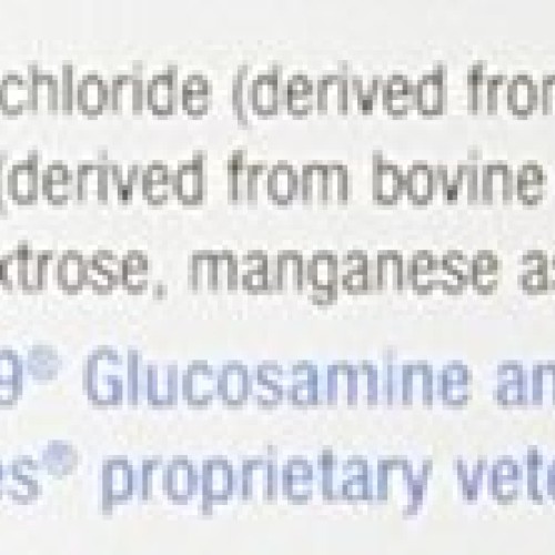 Nutramax Cosequin Equine Optimized with MSM, 1400 Gram Container
