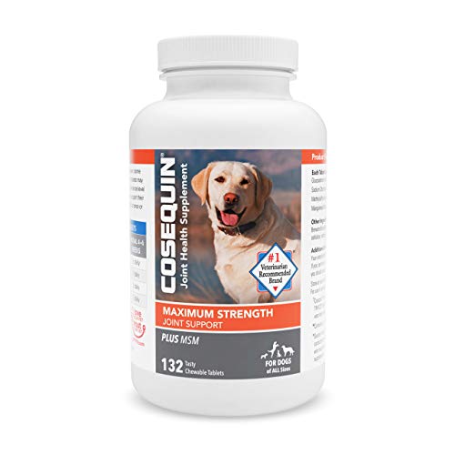Nutramax Laboratories COSEQUIN Maximum Strength Joint Supplement ...