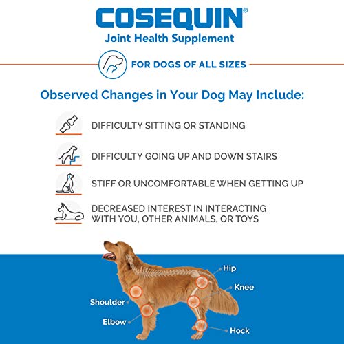 Nutramax Laboratories Cosequin Plus MSM & Boswellia Mini Sized So...