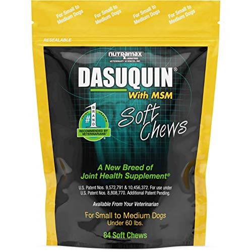 Nutramax Laboratories Dasuquin with MSM Soft Chews