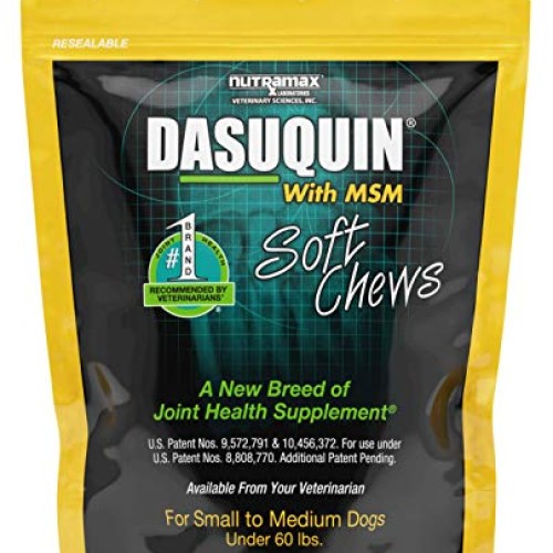 Nutramax Laboratories Dasuquin with MSM Soft Chews
