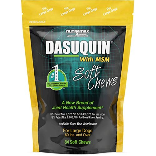 Nutramax Laboratories Dasuquin with MSM Soft Chews