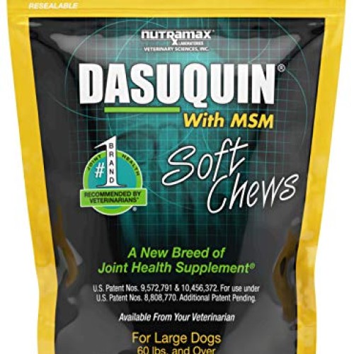 Nutramax Laboratories Dasuquin with MSM Soft Chews