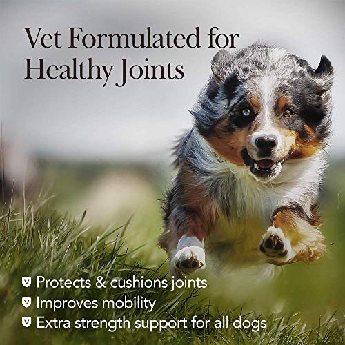 Nutri-Vet Extra Strength Hip & Joint Supplement for Dogs | Formul...