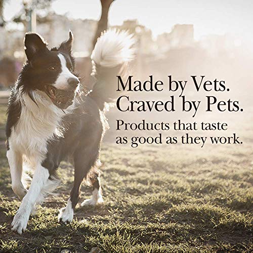 Nutri-Vet Extra Strength Hip & Joint Supplement for Dogs | Formul...