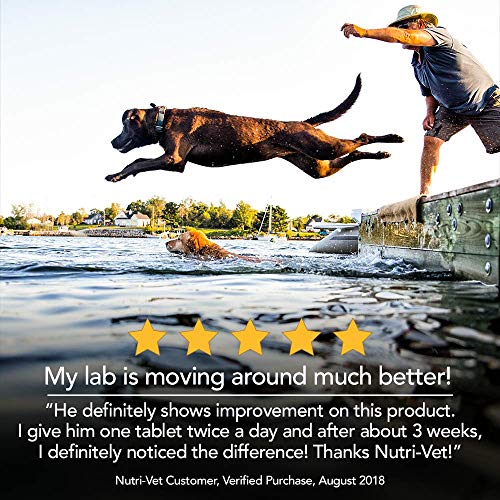 Nutri-Vet Extra Strength Hip & Joint Supplement for Dogs | Formul...
