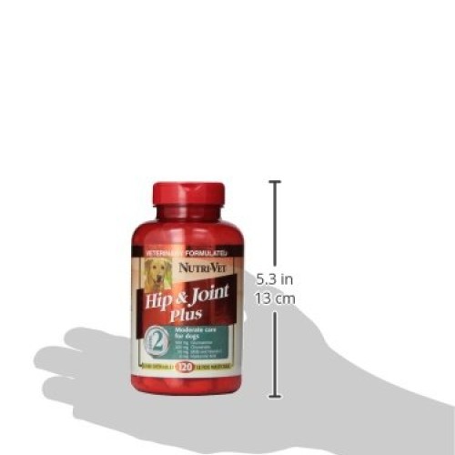 Nutri-Vet Extra Strength Hip & Joint Supplement for Dogs | Formul...